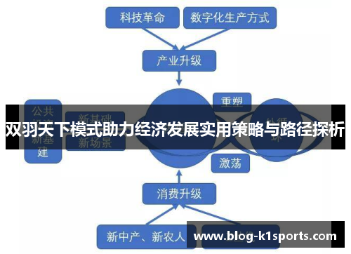 双羽天下模式助力经济发展实用策略与路径探析