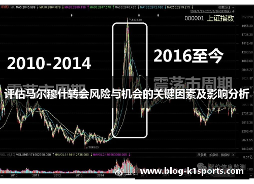 评估马尔穆什转会风险与机会的关键因素及影响分析 评估马尔穆什转会风险与机会的关键因素及影响分析